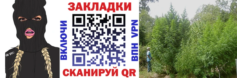 Где найти наркотики Верхняя Пышма ГАШ  Alpha PVP  Кокаин  Мефедрон  Каннабис 