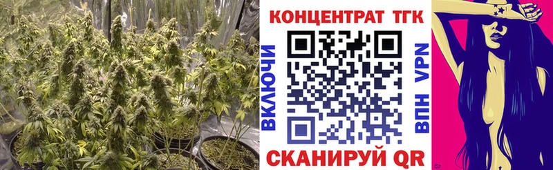 ТГК концентрат  Верхняя Пышма 