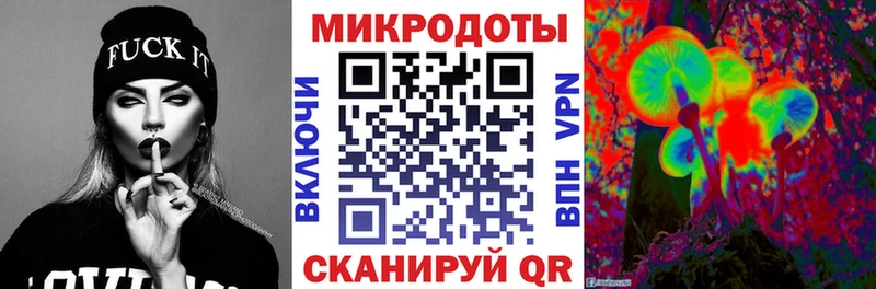 Псилоцибиновые грибы Psilocybine cubensis  Верхняя Пышма 